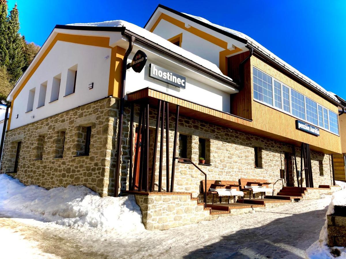 Aurelia Hotel Donovaly Buitenkant foto